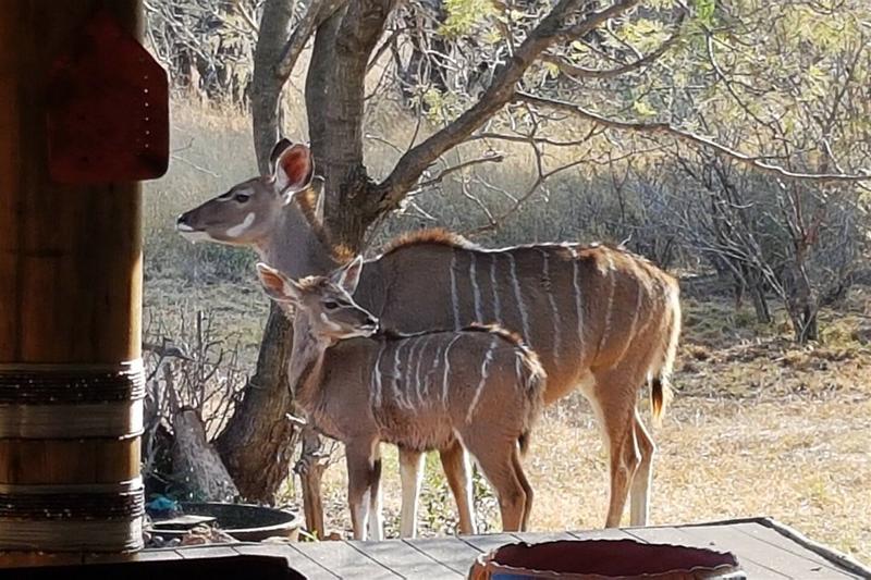 3 Bedroom Property for Sale in Vaalkop Dam North West